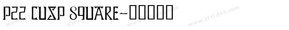 P22 Cusp Square字体转换